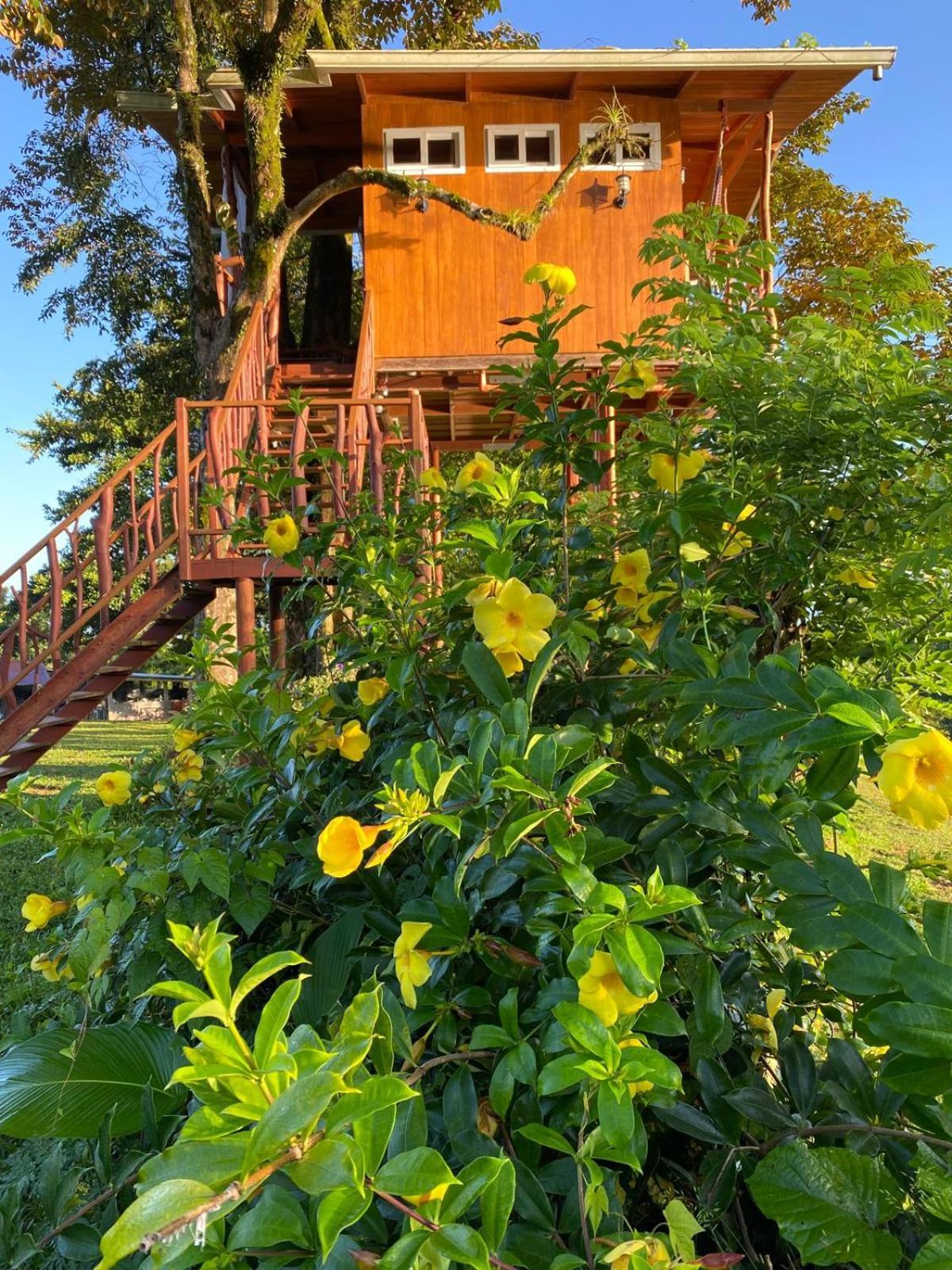 Hilamito Lodge テラ エクステリア 写真
