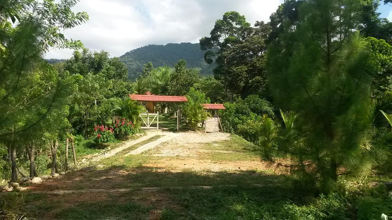 Hilamito Lodge テラ エクステリア 写真